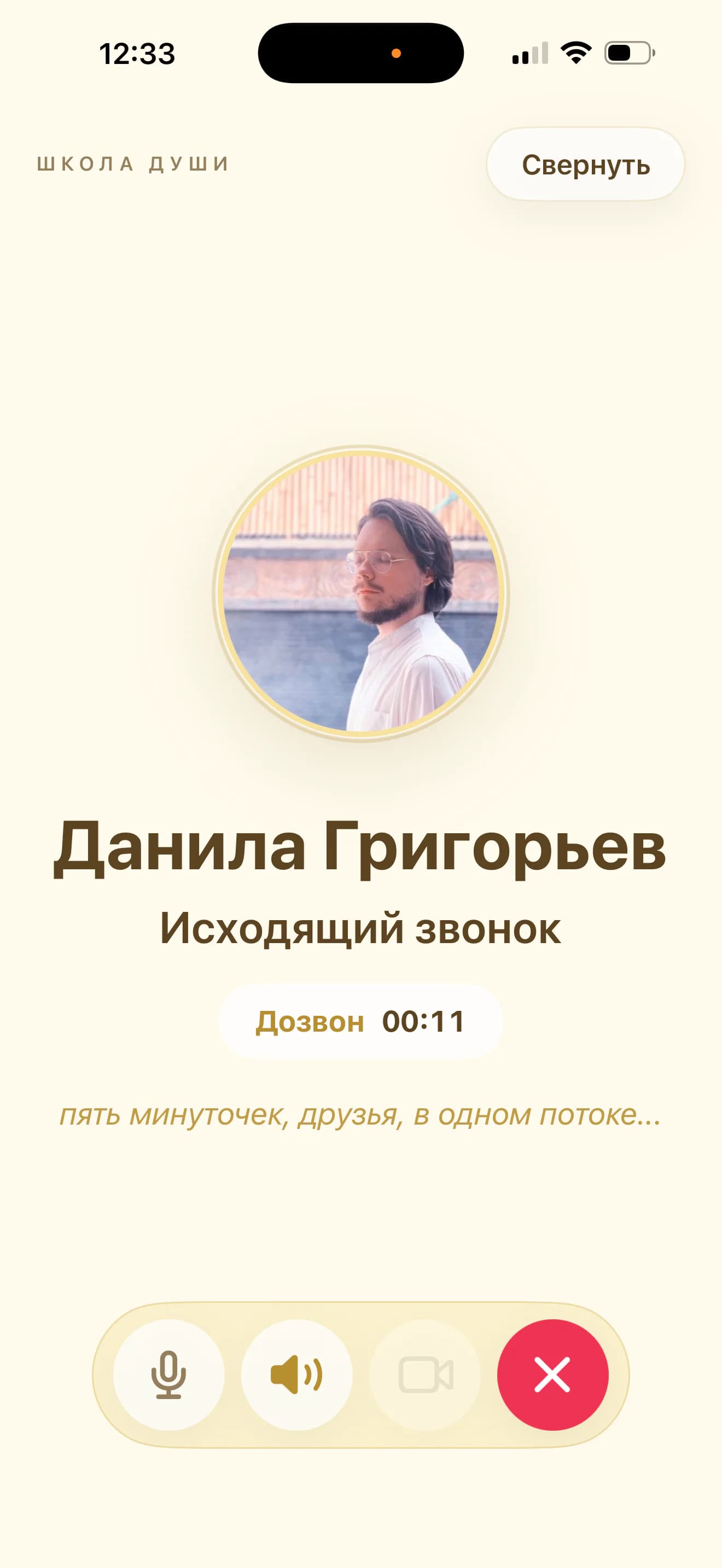 Аудио- и видеозвонок в приложении