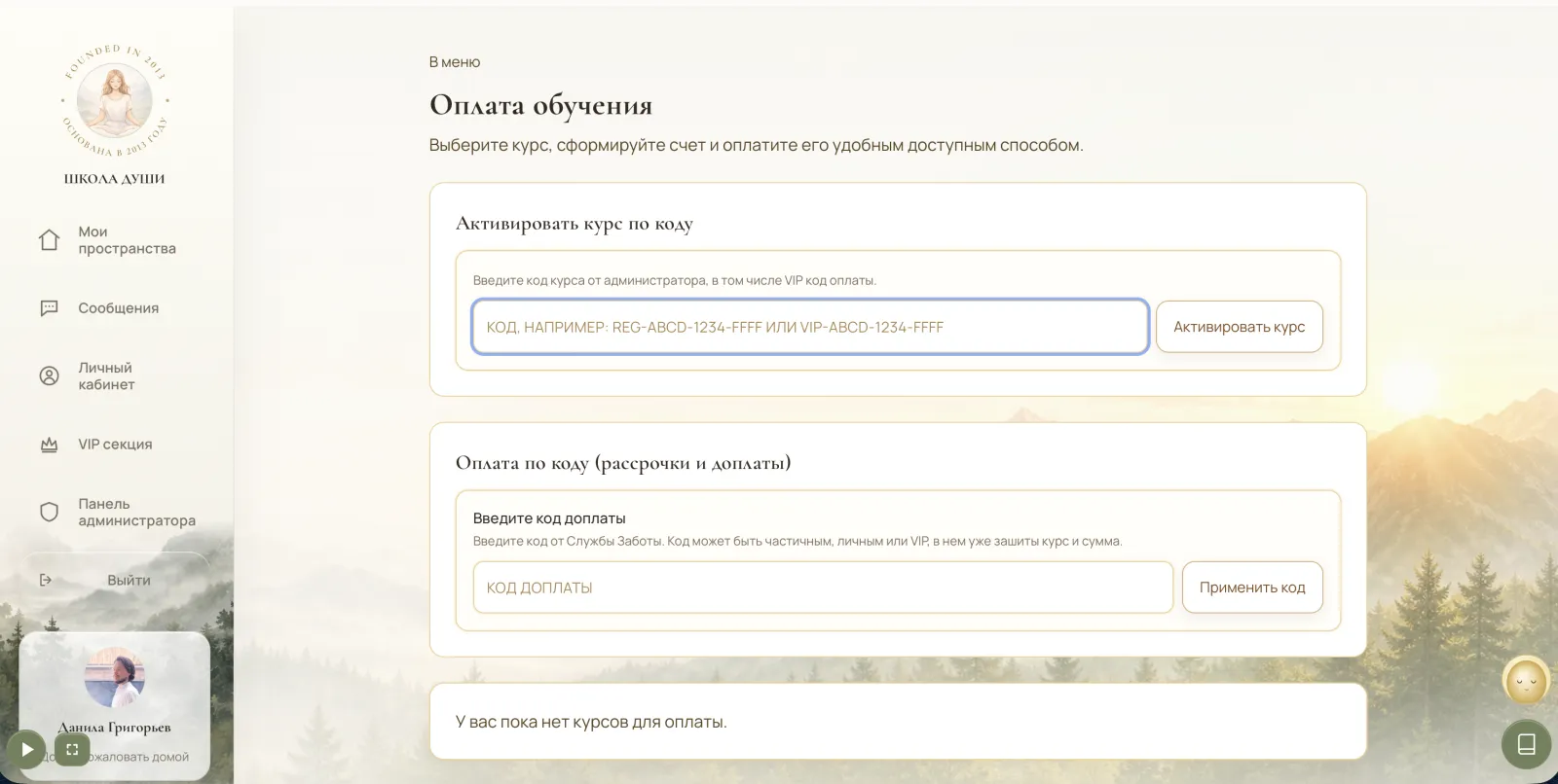 Оплаты и доступы